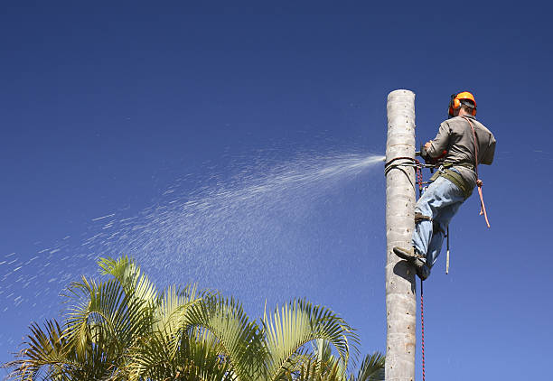 Best Soil Testing and Treatment  in Peebles, OH